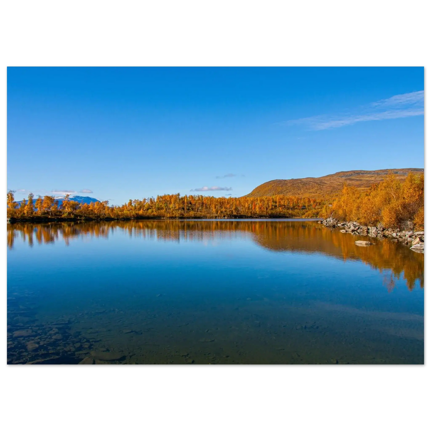 e5313302-e7e1-499f-9ac4-c6f3a8b98c0b