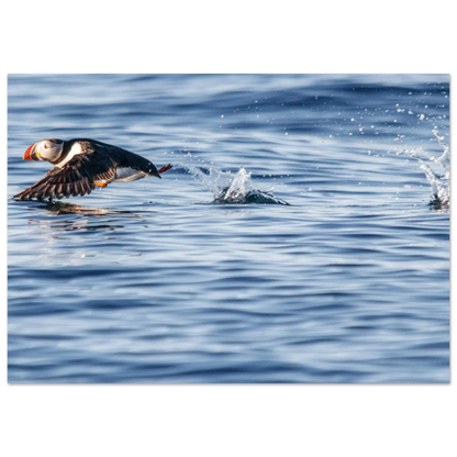 e5e4cb51-e484-4434-baac-bc476d5ae8d8