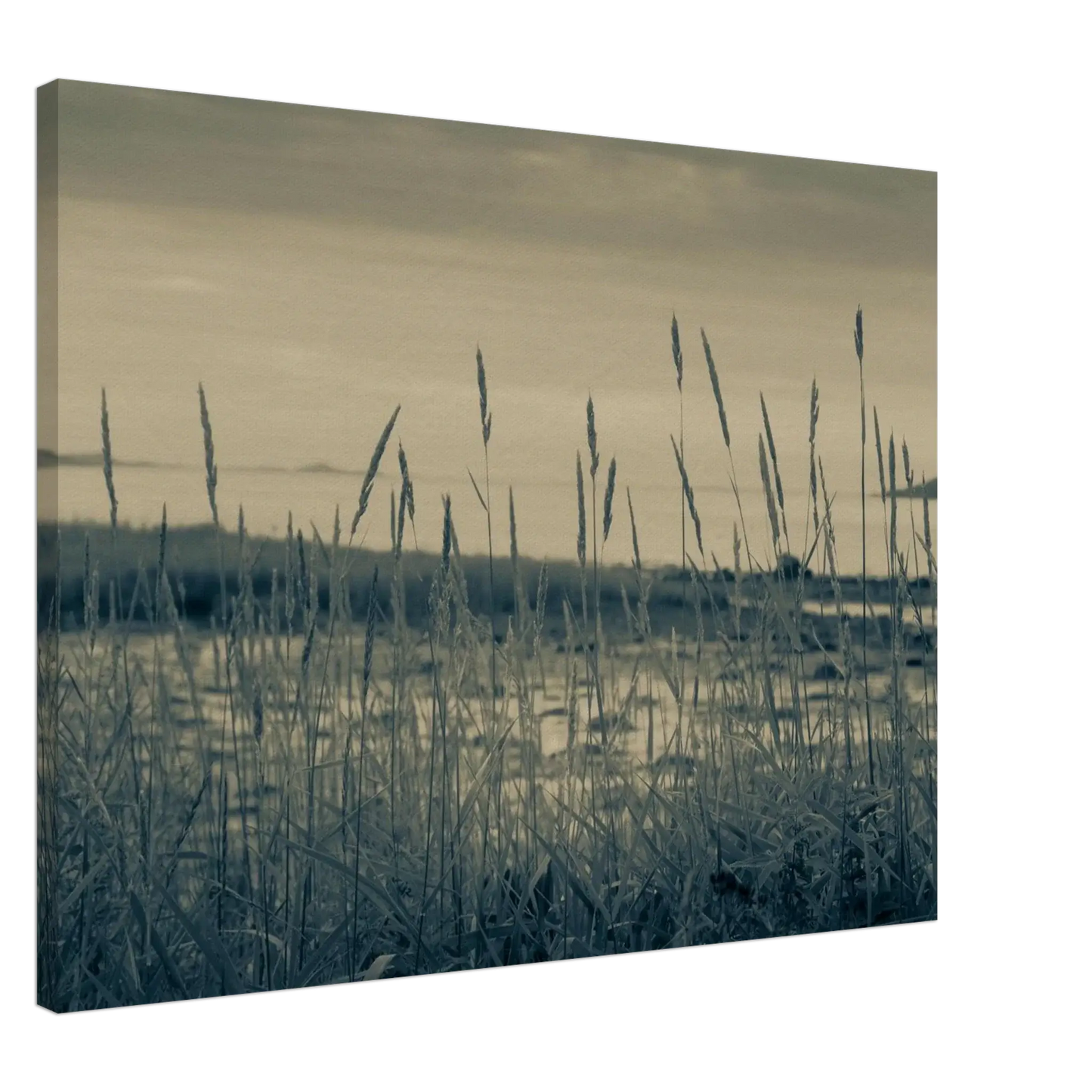 e6e176a5-f029-4359-8cc7-66ed65aa9698