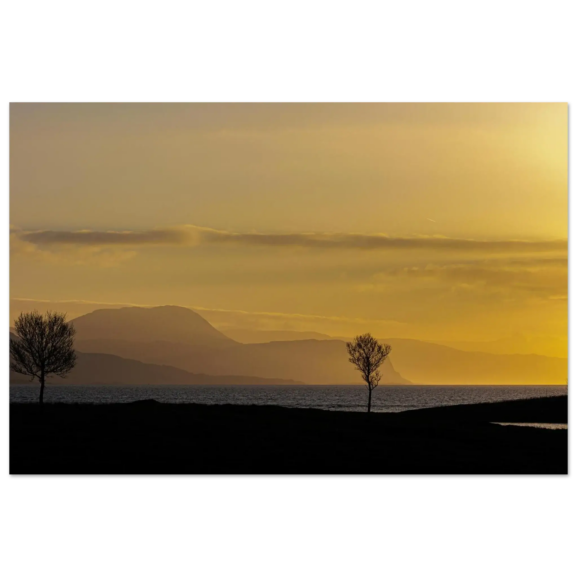 e72113a0-1902-4c7b-8513-f989b7fa5a98