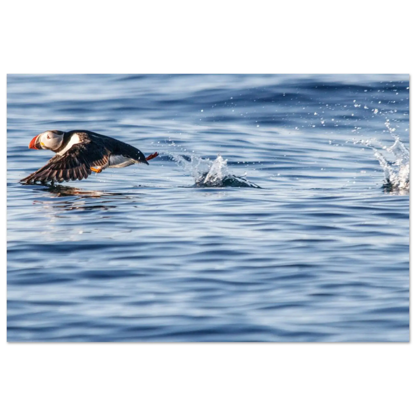 e73f4fd5-521e-42b7-9949-a958fdadcc89