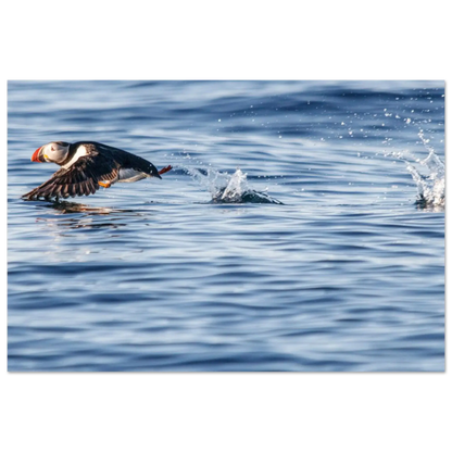 e73f4fd5-521e-42b7-9949-a958fdadcc89