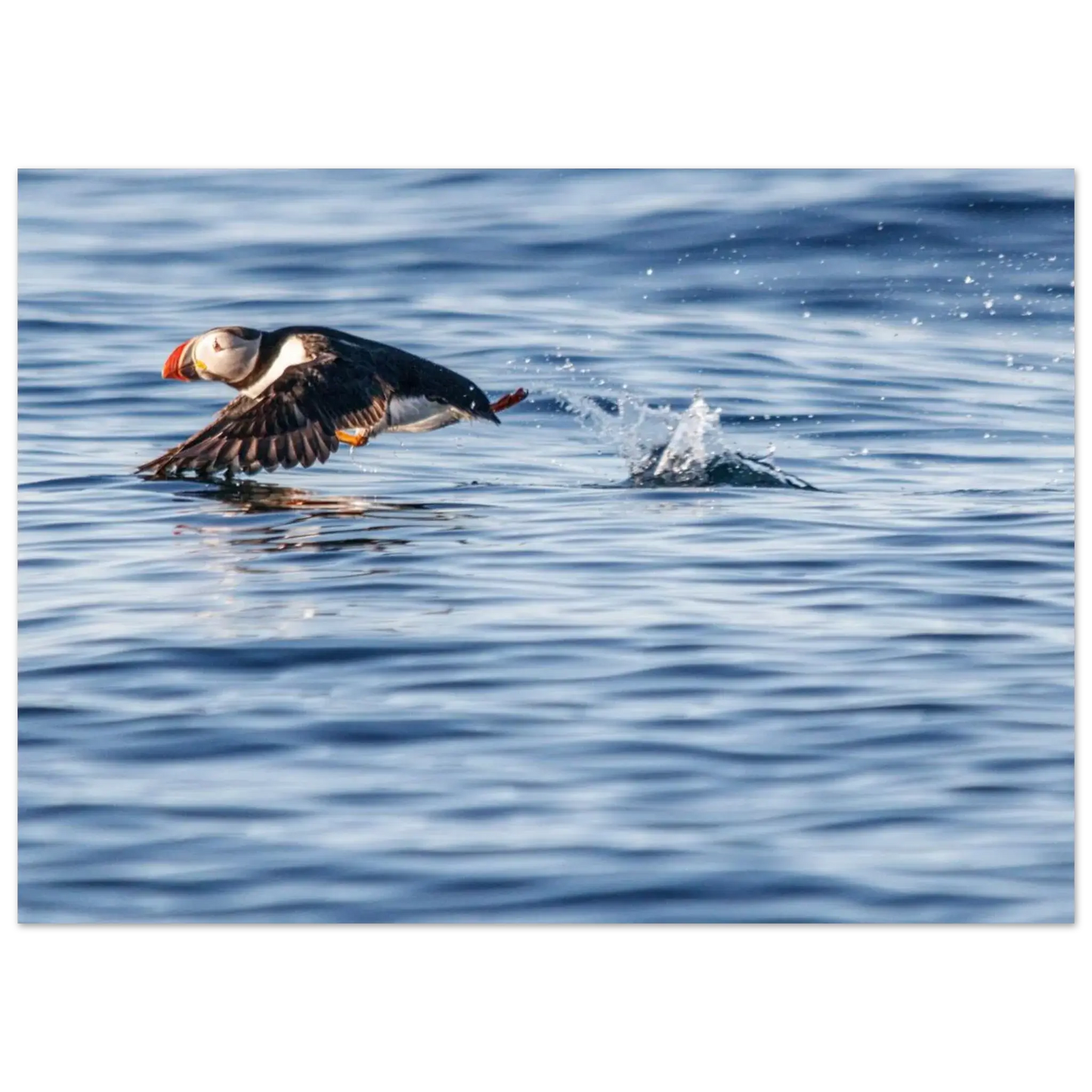 e90afab4-5cd2-4a44-a8cf-a834f67308fa