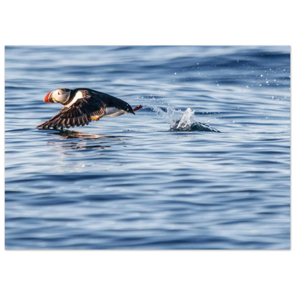 e90afab4-5cd2-4a44-a8cf-a834f67308fa