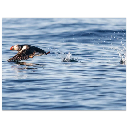 ecb4cc20-a52f-4fb7-a7e9-269244b58382