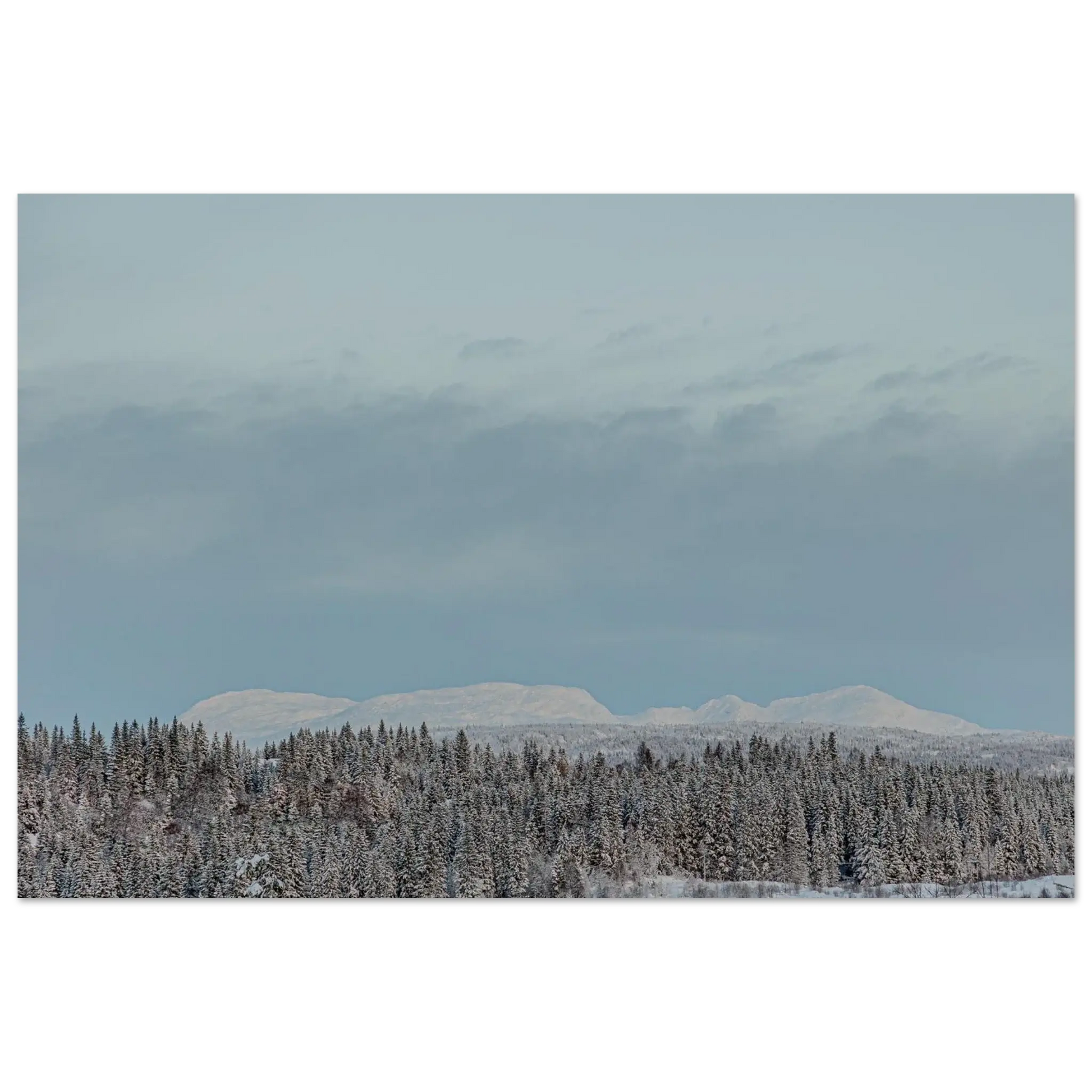 ef9e16a6-5aa2-44ca-ba88-f7abb506e004