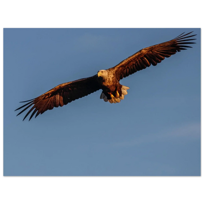 f167dcc7-971f-4346-873e-b626f0ca64cb