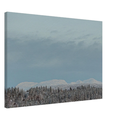 f26b8e96-c871-488d-8ae3-21f9dc09922d