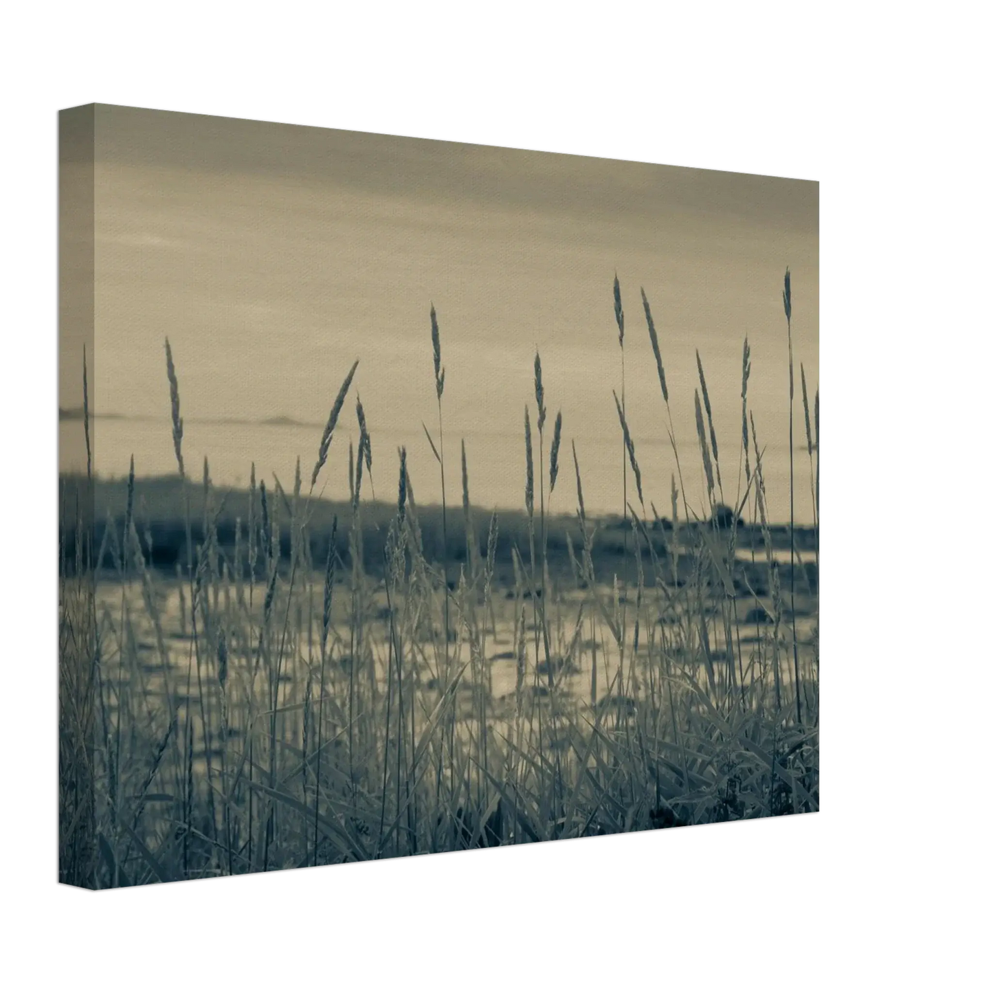 f50ad25f-3284-452a-83d1-10bd3c1023ed