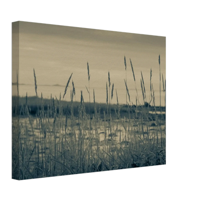 f50ad25f-3284-452a-83d1-10bd3c1023ed