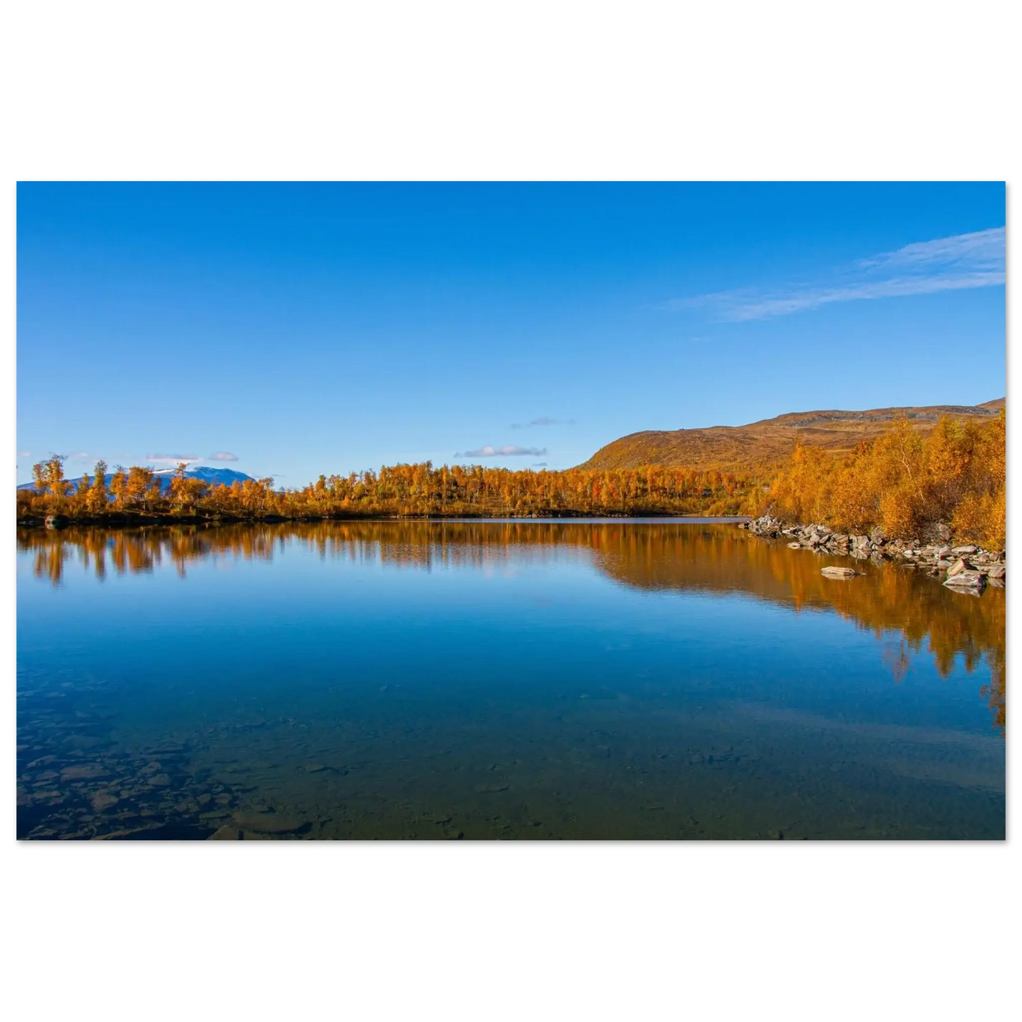 f56189bd-b4a3-4fcb-971a-7742a4caeb59