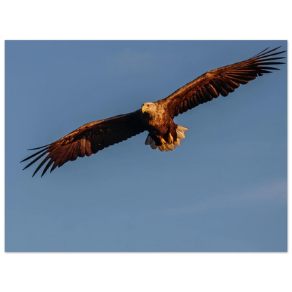 f5e3a851-920a-40f7-a4a2-e175dcf6170b