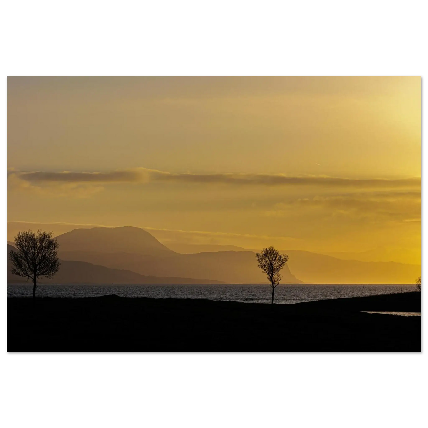 f695b02f-964d-4538-8969-eeb1ac94ee56