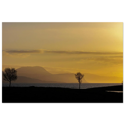 f695b02f-964d-4538-8969-eeb1ac94ee56