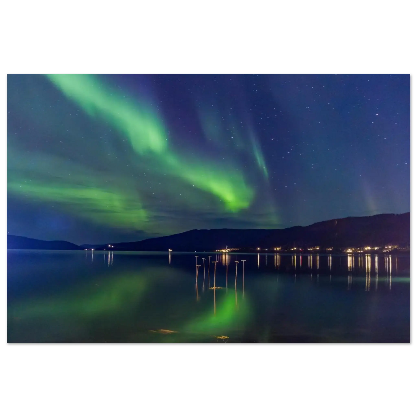 f9a98b4d-02f8-456b-a659-3f7939d25093