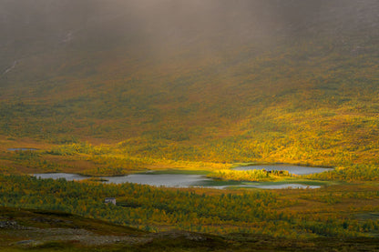 Fjellet høst 3