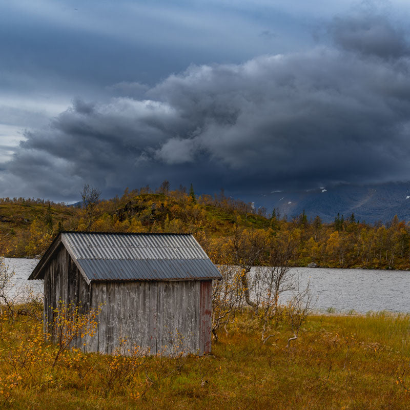 Høst korgfjellet