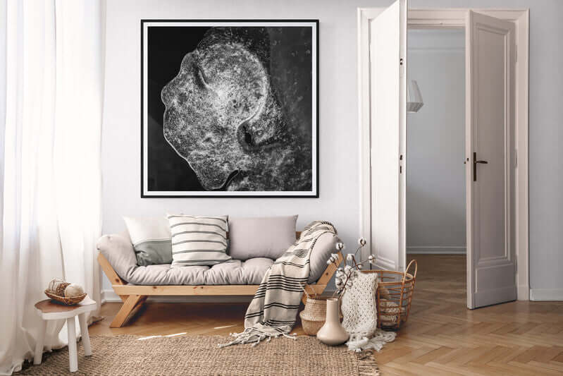 Tidløs eleganse i svart-hvitt