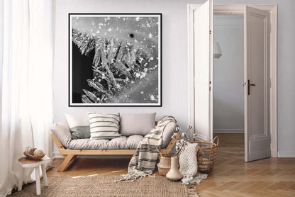 Iskrystallenes magi i svart-hvitt