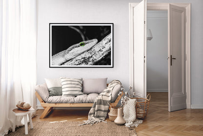 Fredelig stue med kunstverk av slange